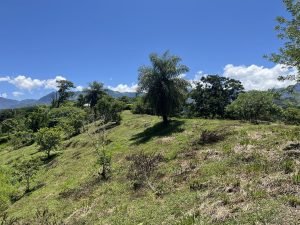 Lote Naranjales Cauca Viejo