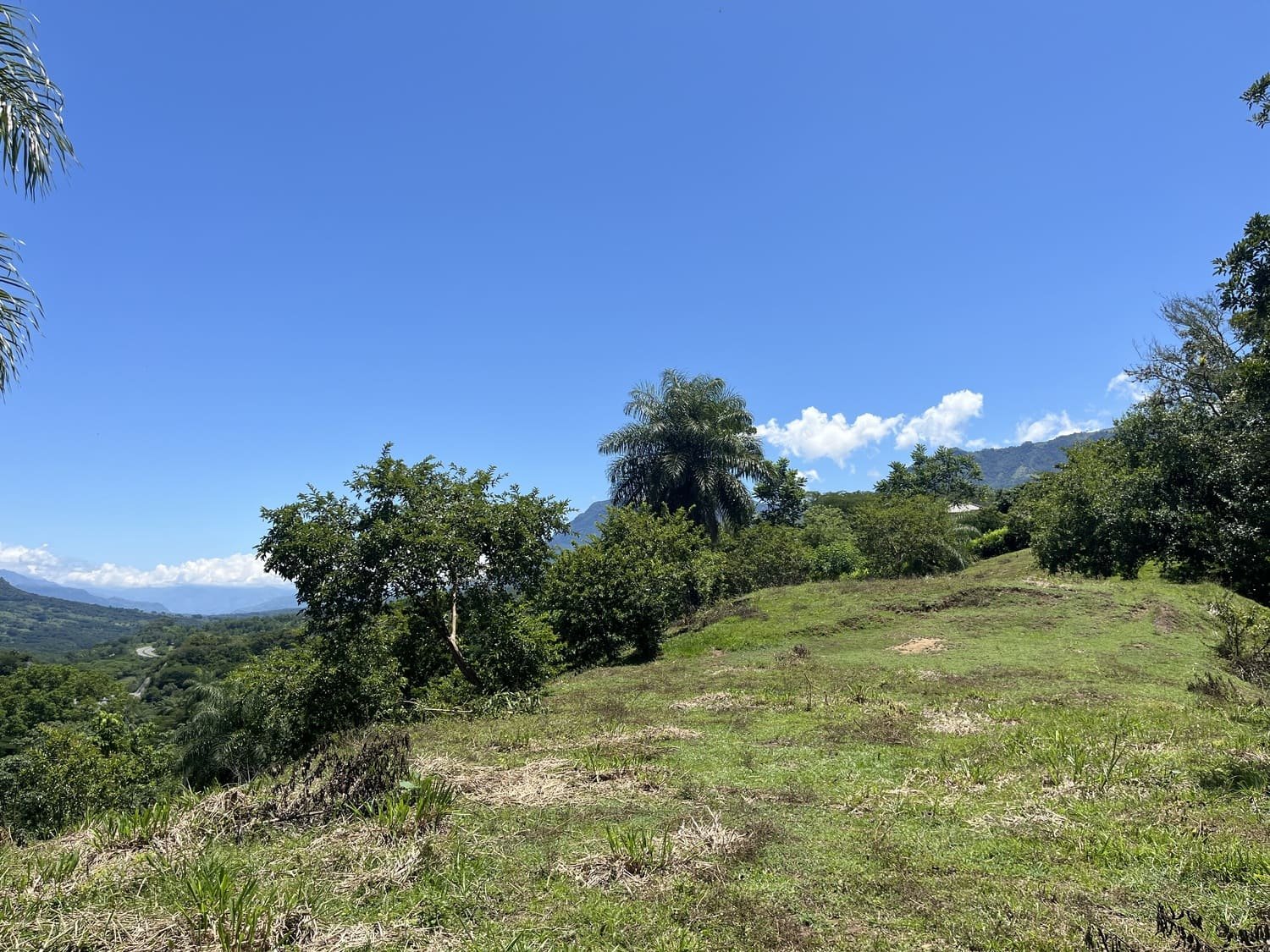Lote Naranjales Cauca Viejo