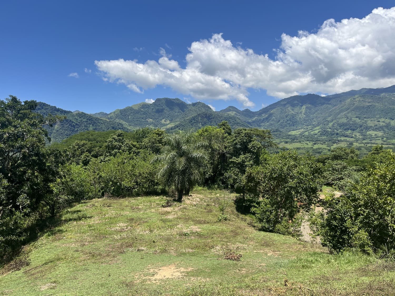 Lote Naranjales Cauca Viejo