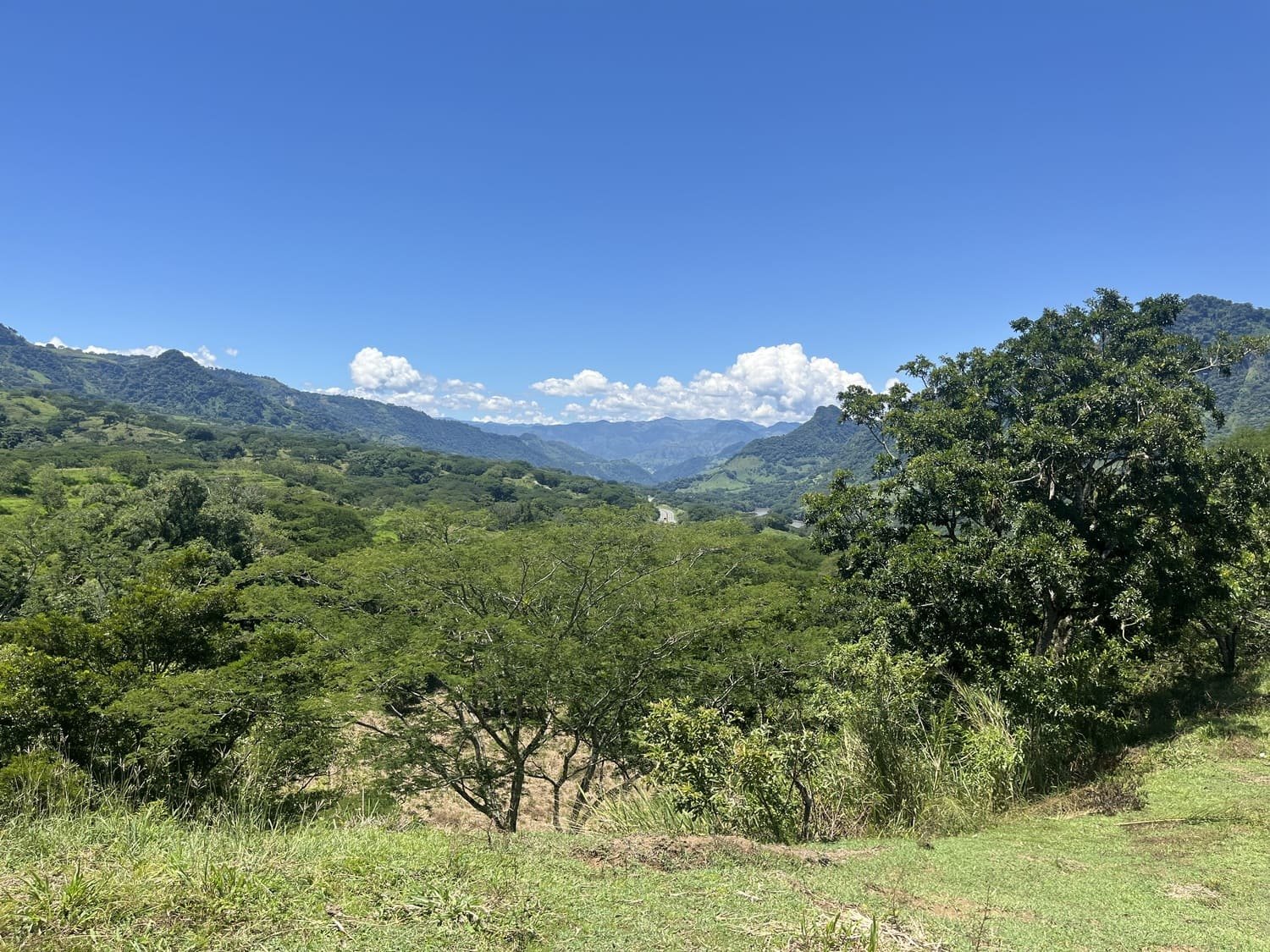 Lote Naranjales Cauca Viejo