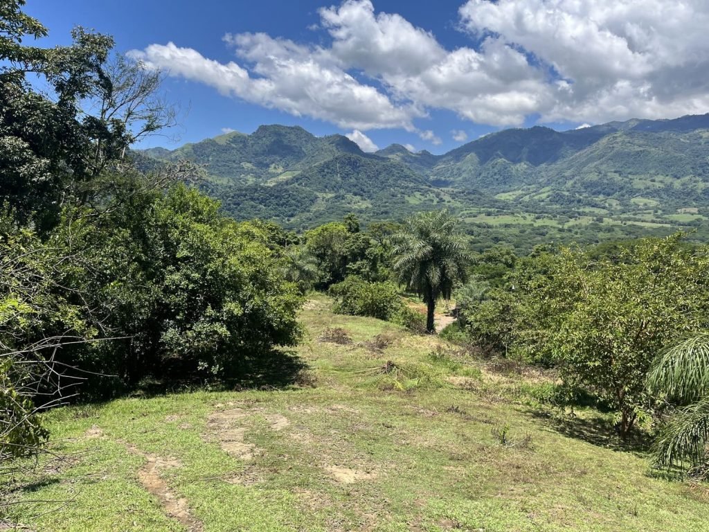 Lote Naranjales Cauca Viejo