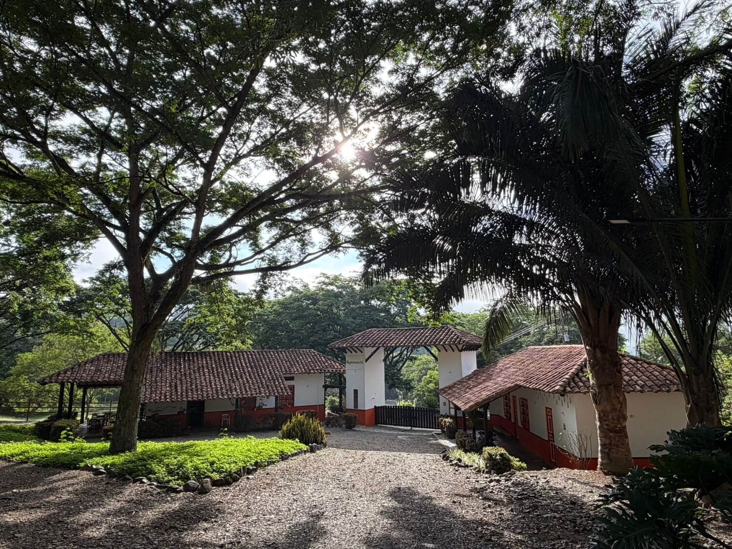 Naranjales de Cauca Viejo