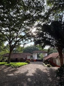 Naranjales de Cauca Viejo
