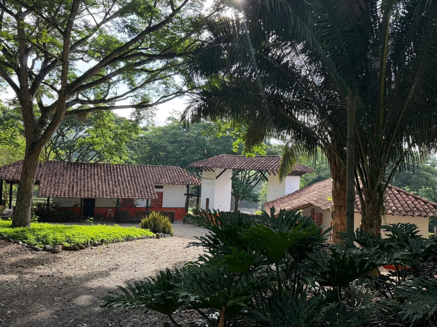 Naranjales de Cauca Viejo