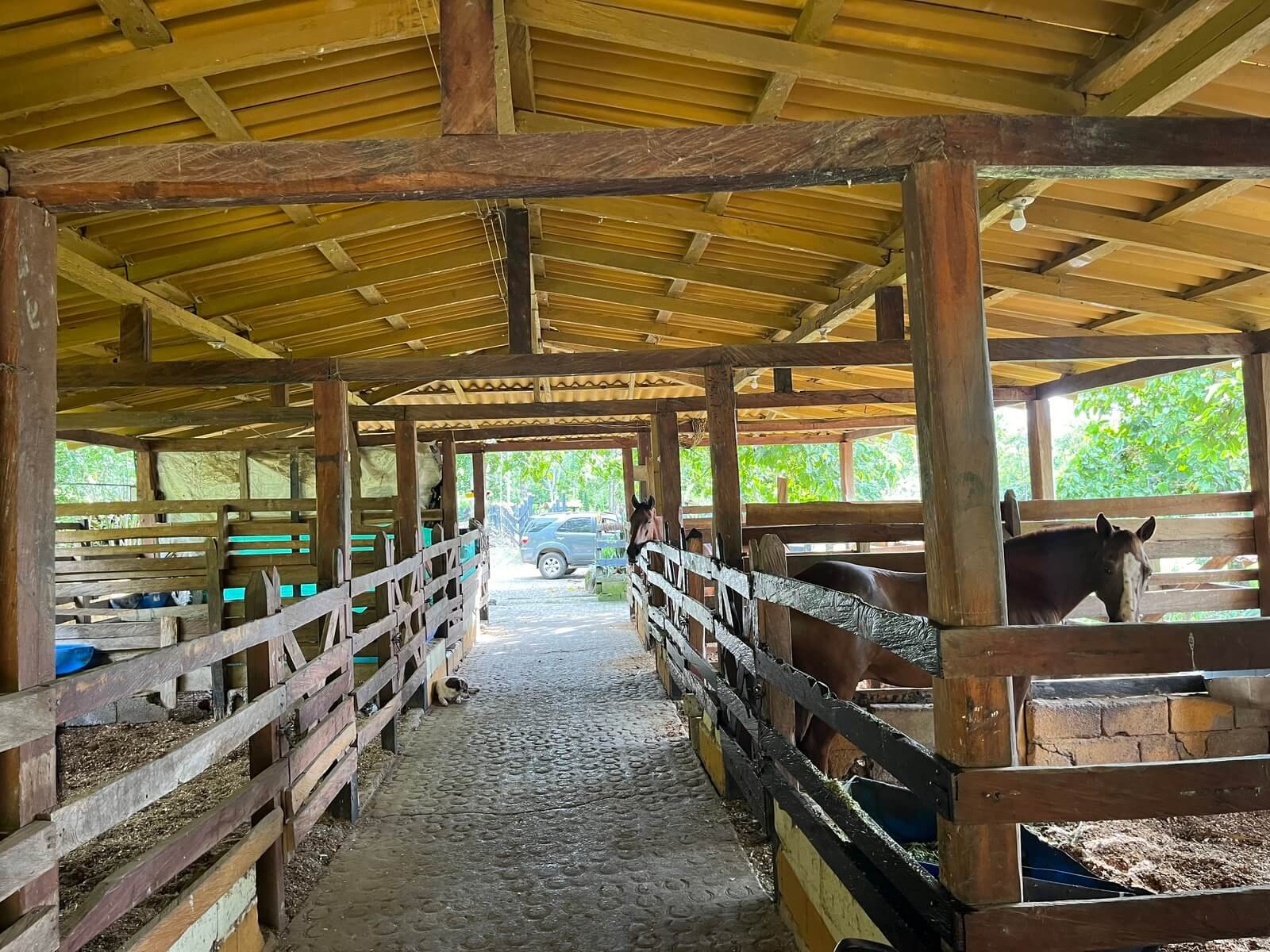 Finca Fredonia