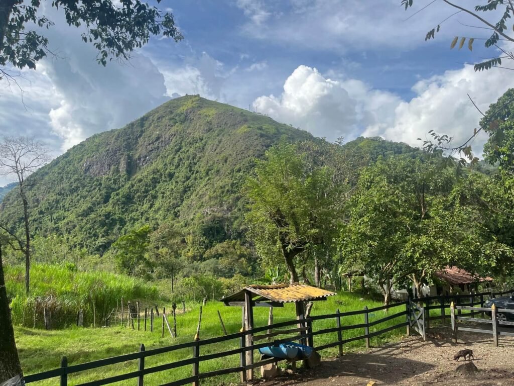 Finca Fredonia