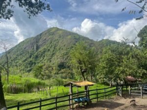 Finca Fredonia