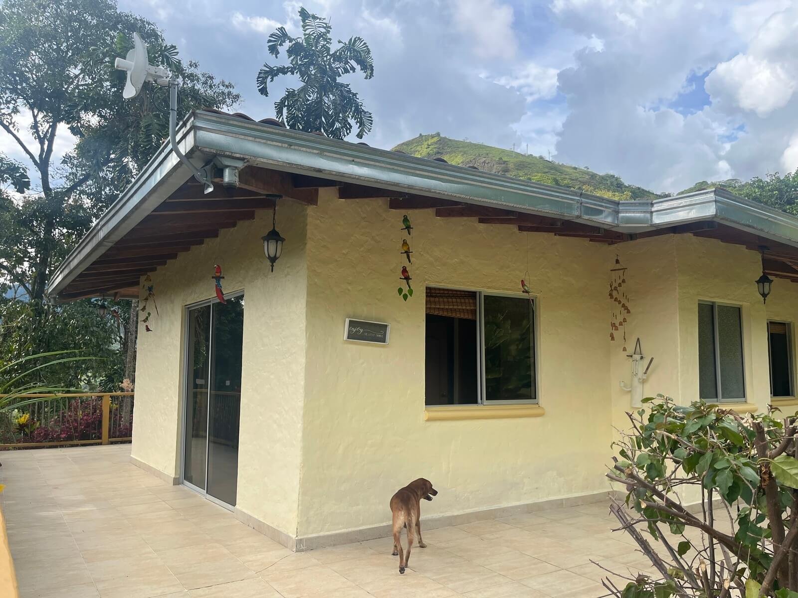 Finca Fredonia