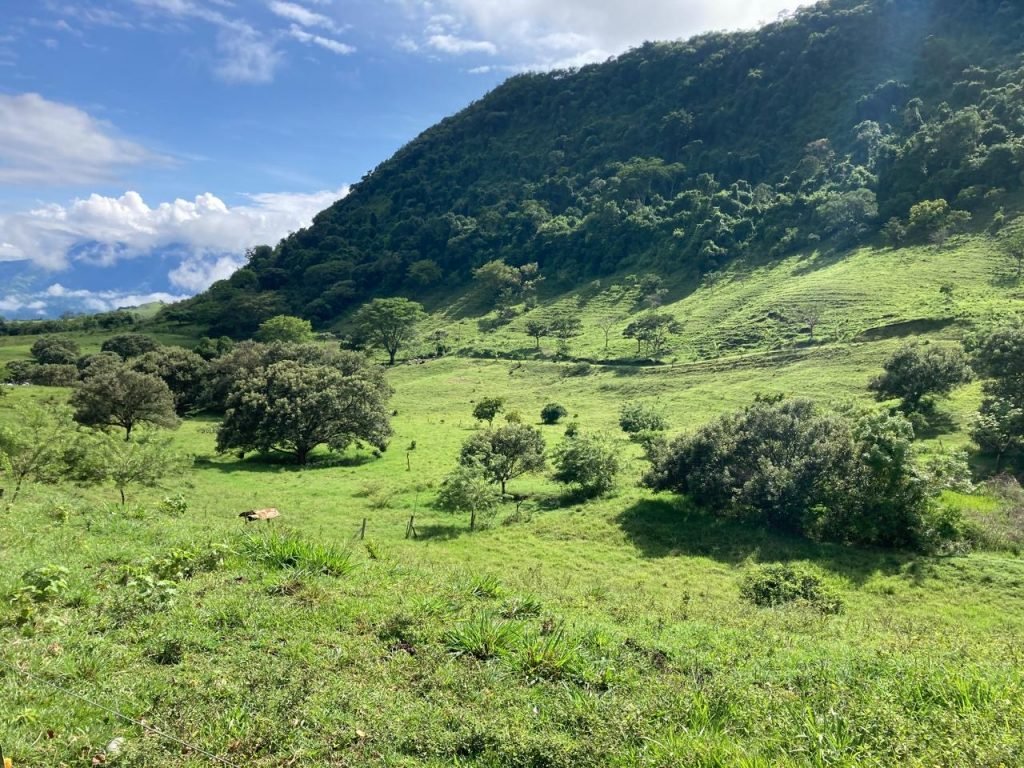 Finca en Tarso