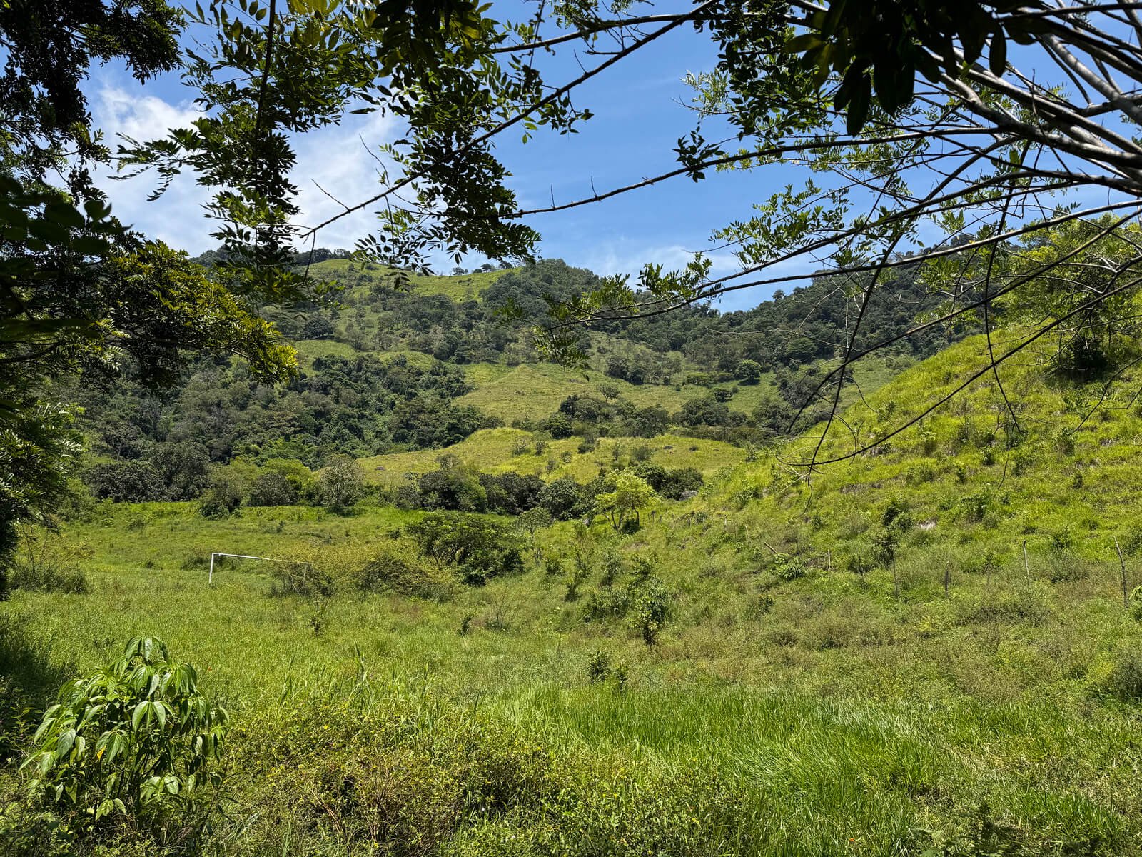 Finca en Tarso