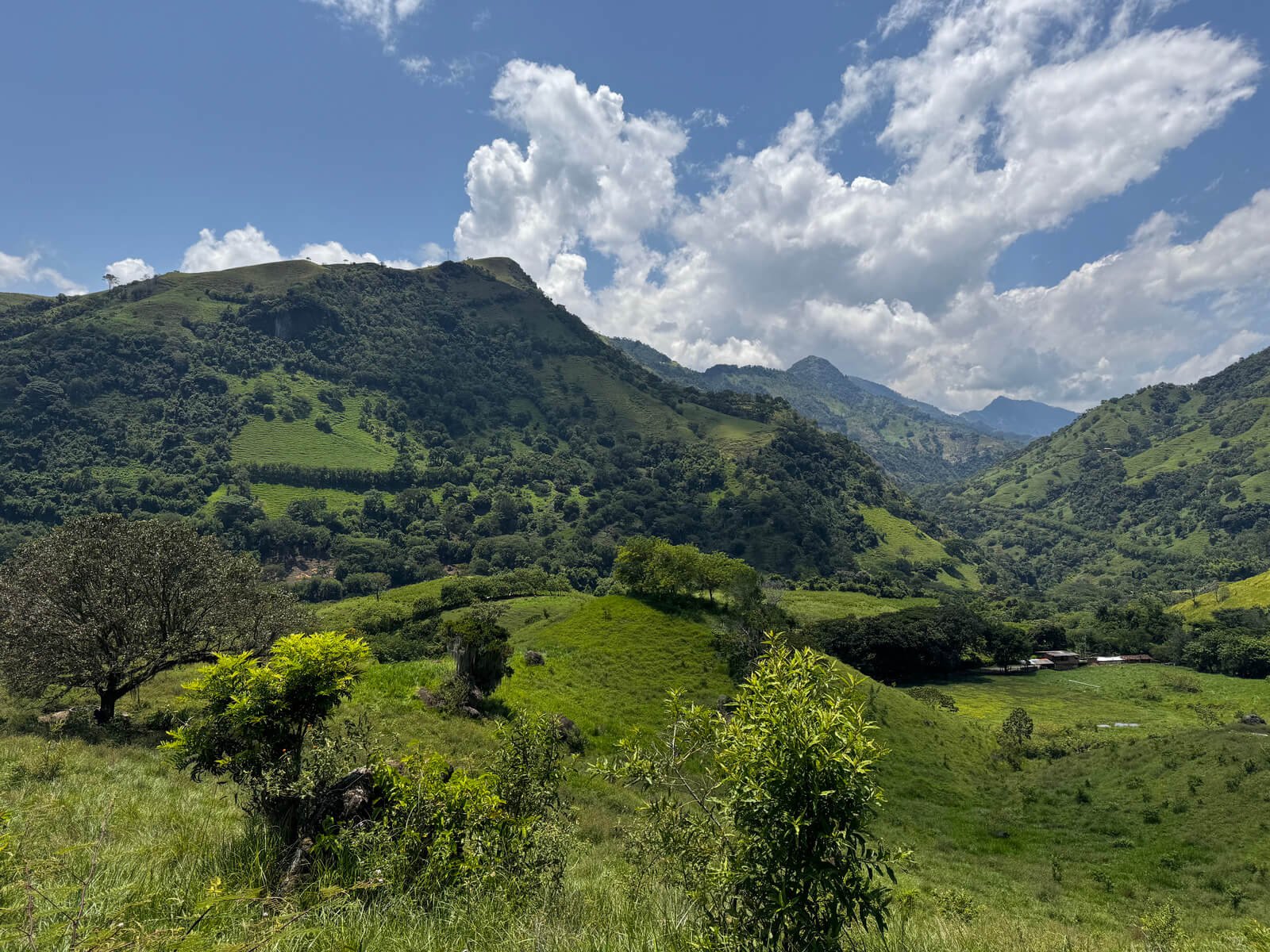 Finca en Tarso