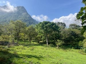 Finca en Jericó