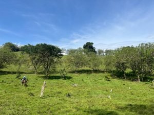 Finca en Jericó