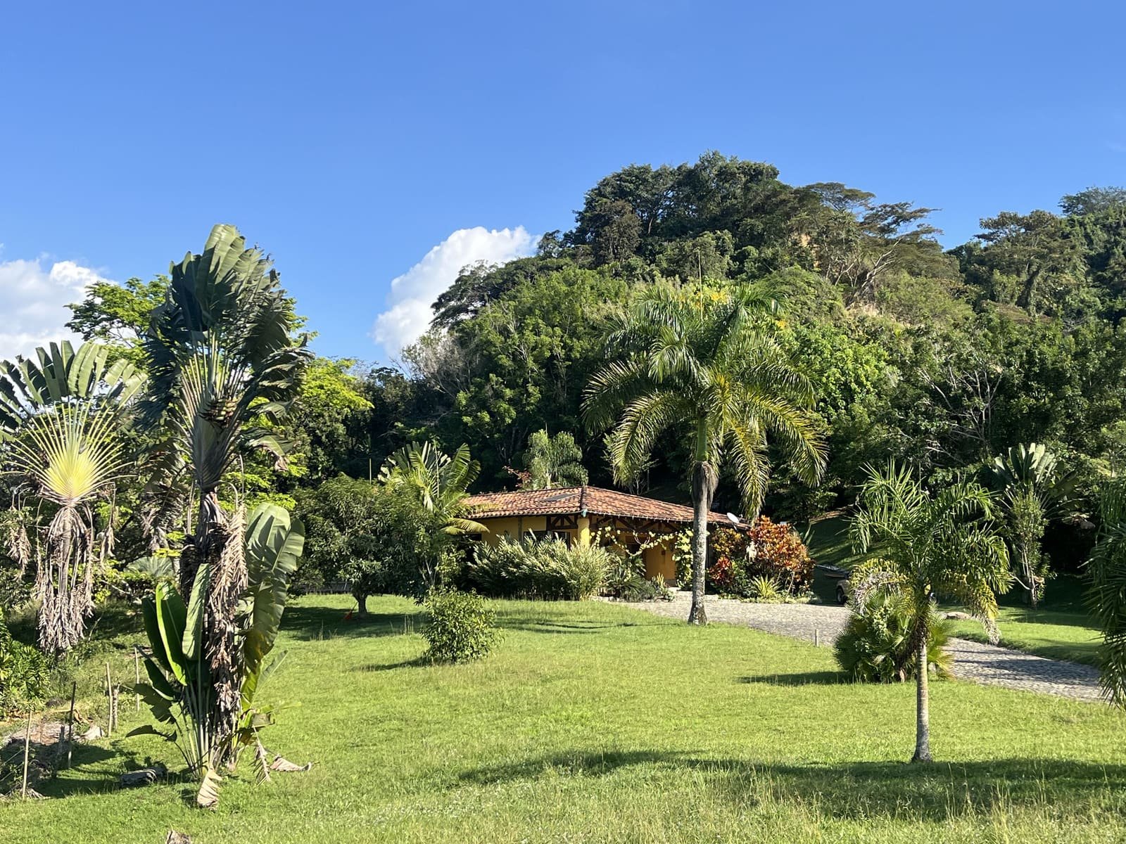 Finca en Venecia