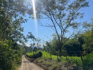 Finca en Támesis