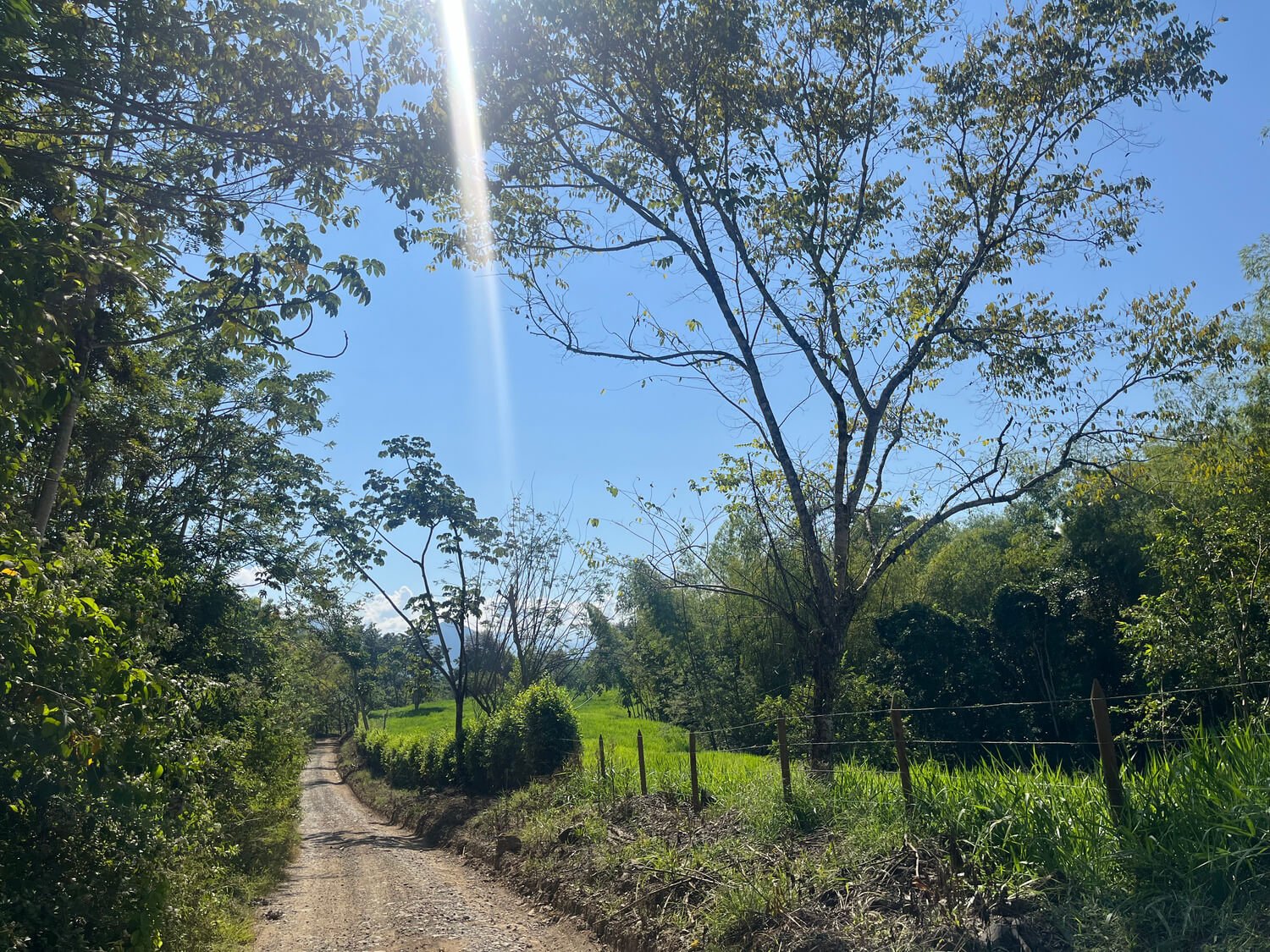 Finca en Támesis