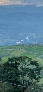 Finca en Jericó