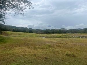 Finca en Támesis