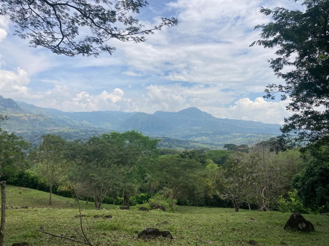 Lote Naranjales de Cauca Viejo