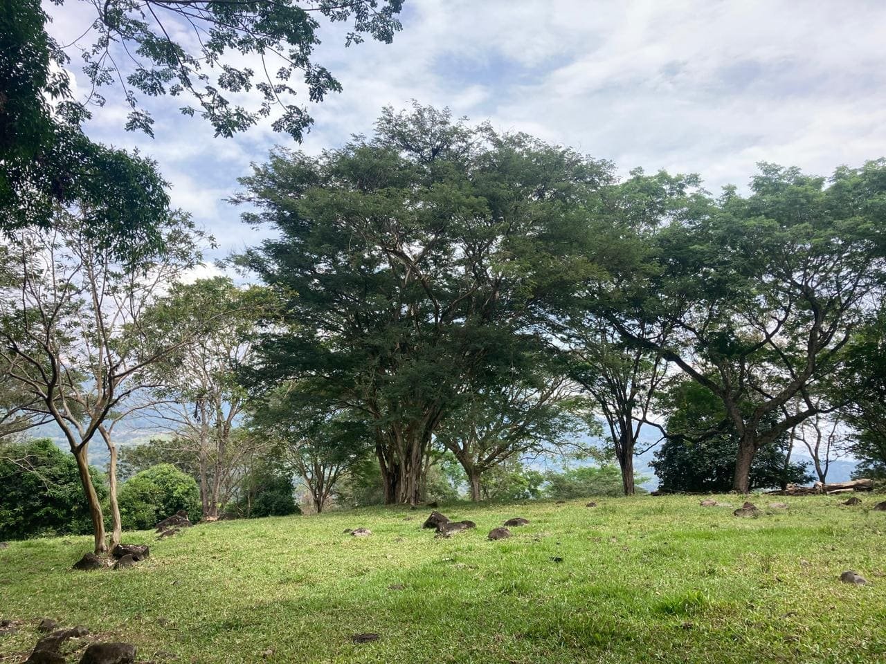 Lote Naranjales de Cauca Viejo