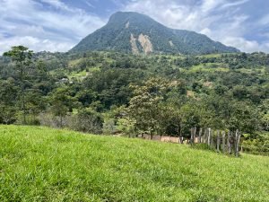 Finca en Fredonia