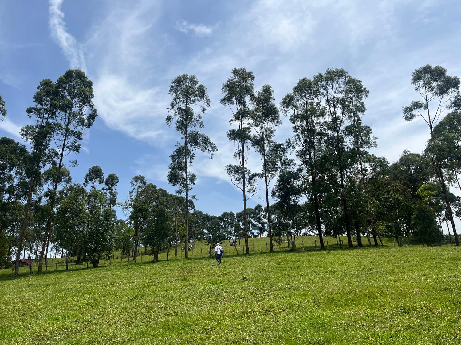 Finca en Fredonia