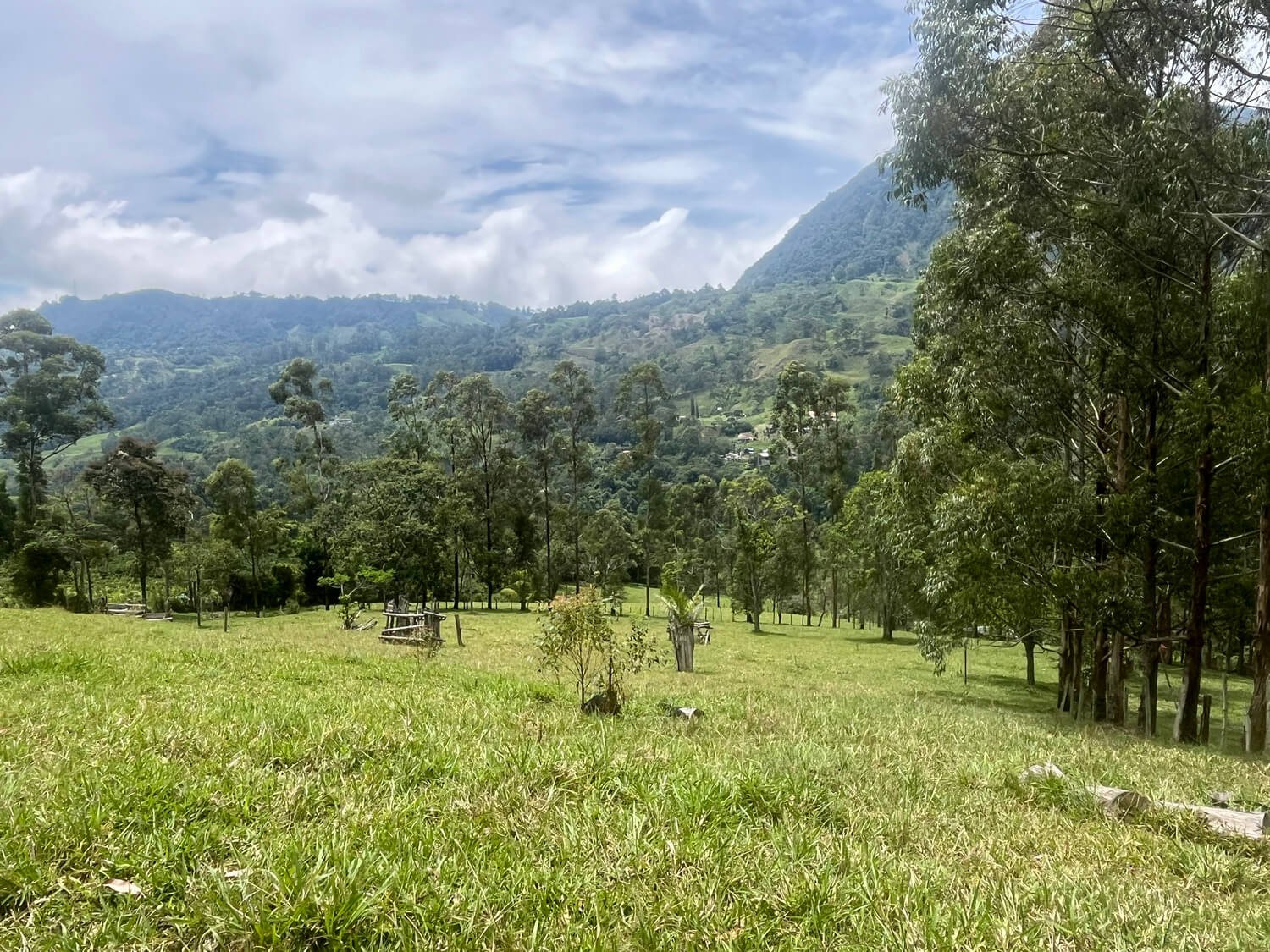 Finca en Fredonia