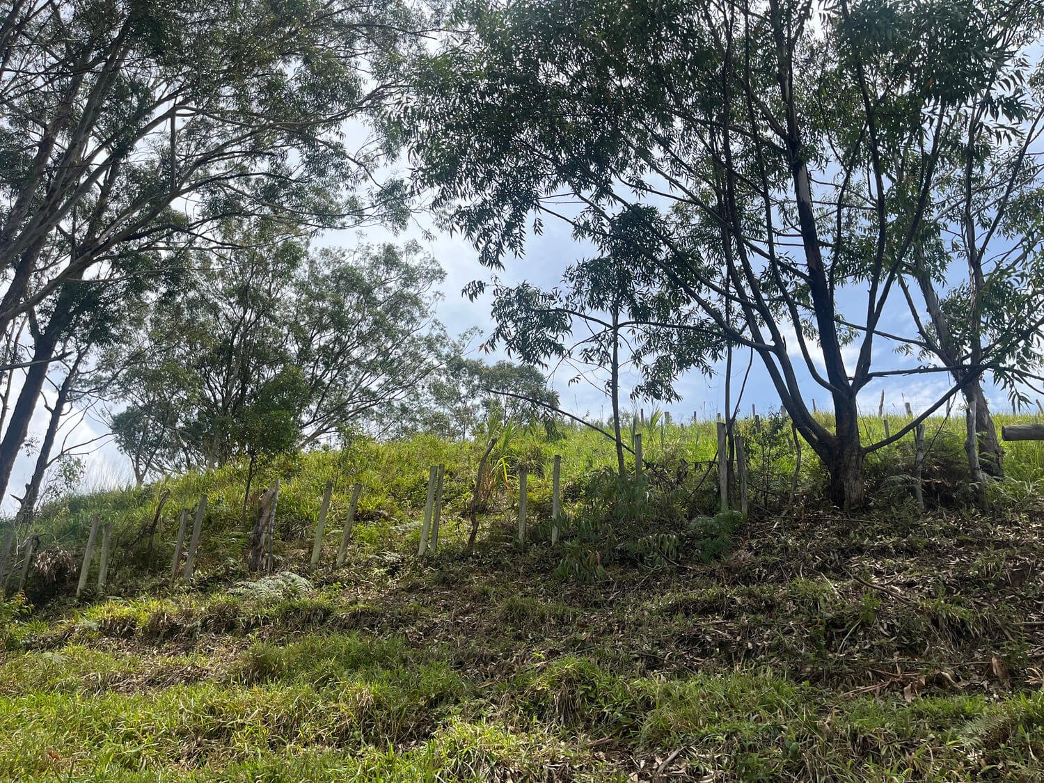 Finca en Fredonia