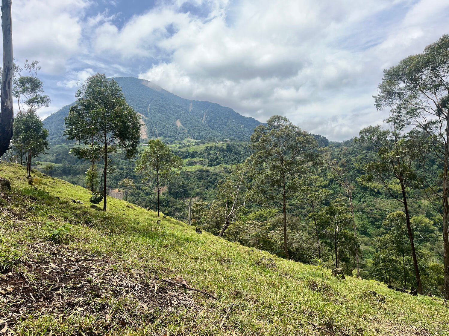 Finca en Fredonia