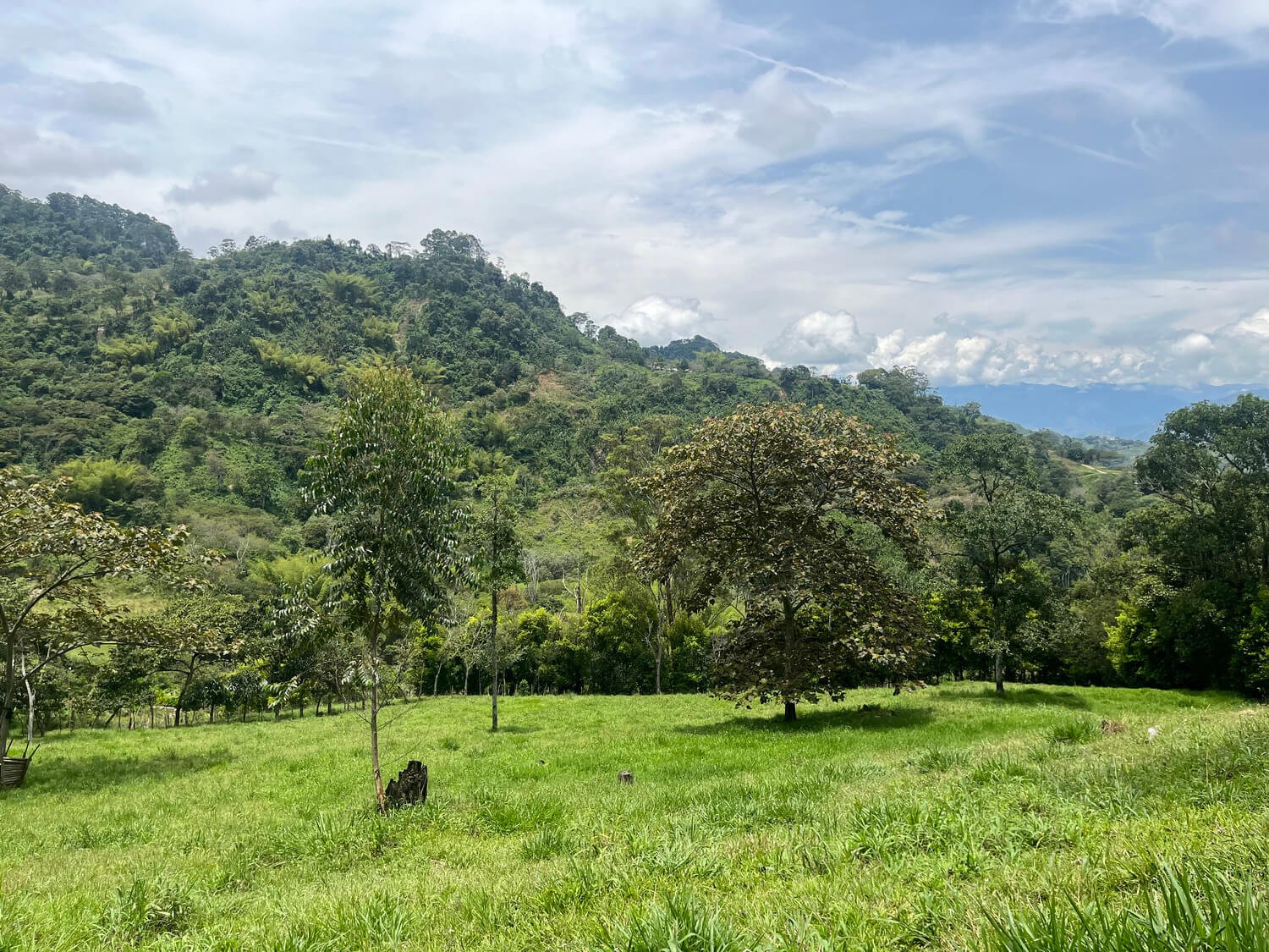 Finca en Fredonia