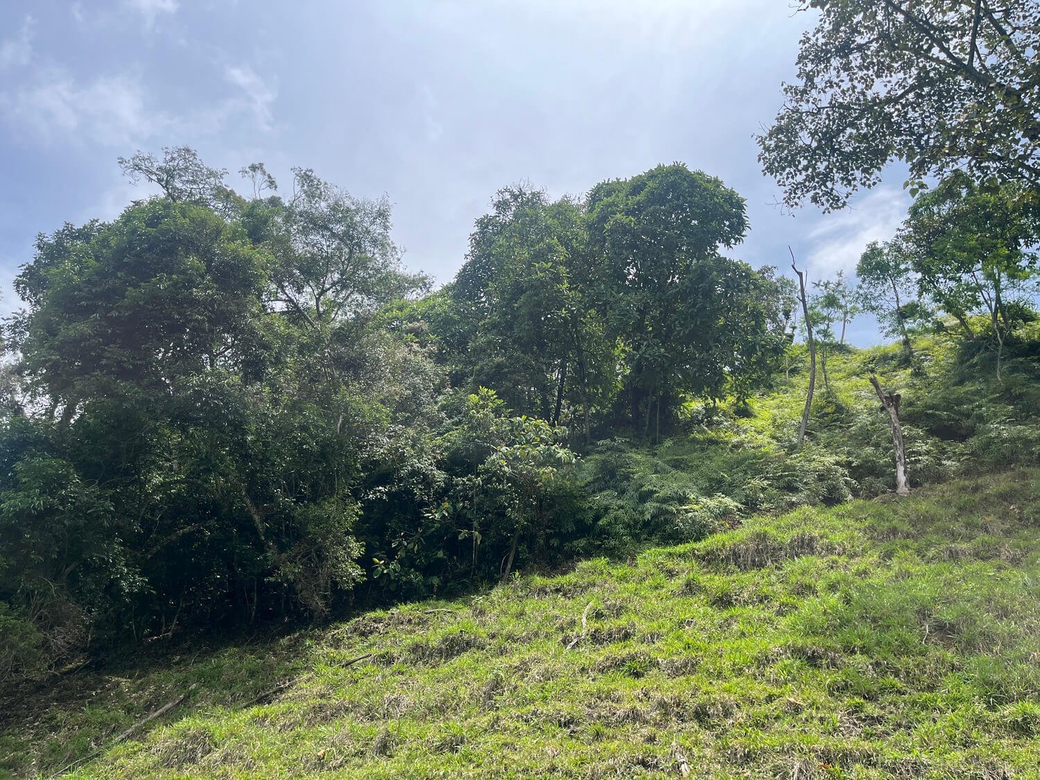 Finca en Fredonia