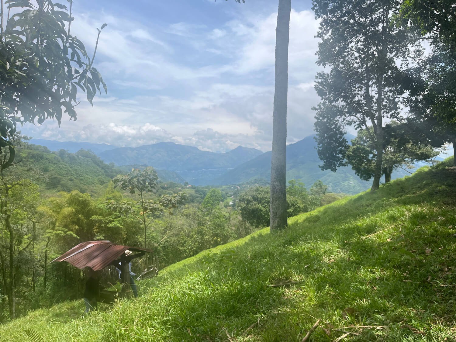 Finca en Fredonia