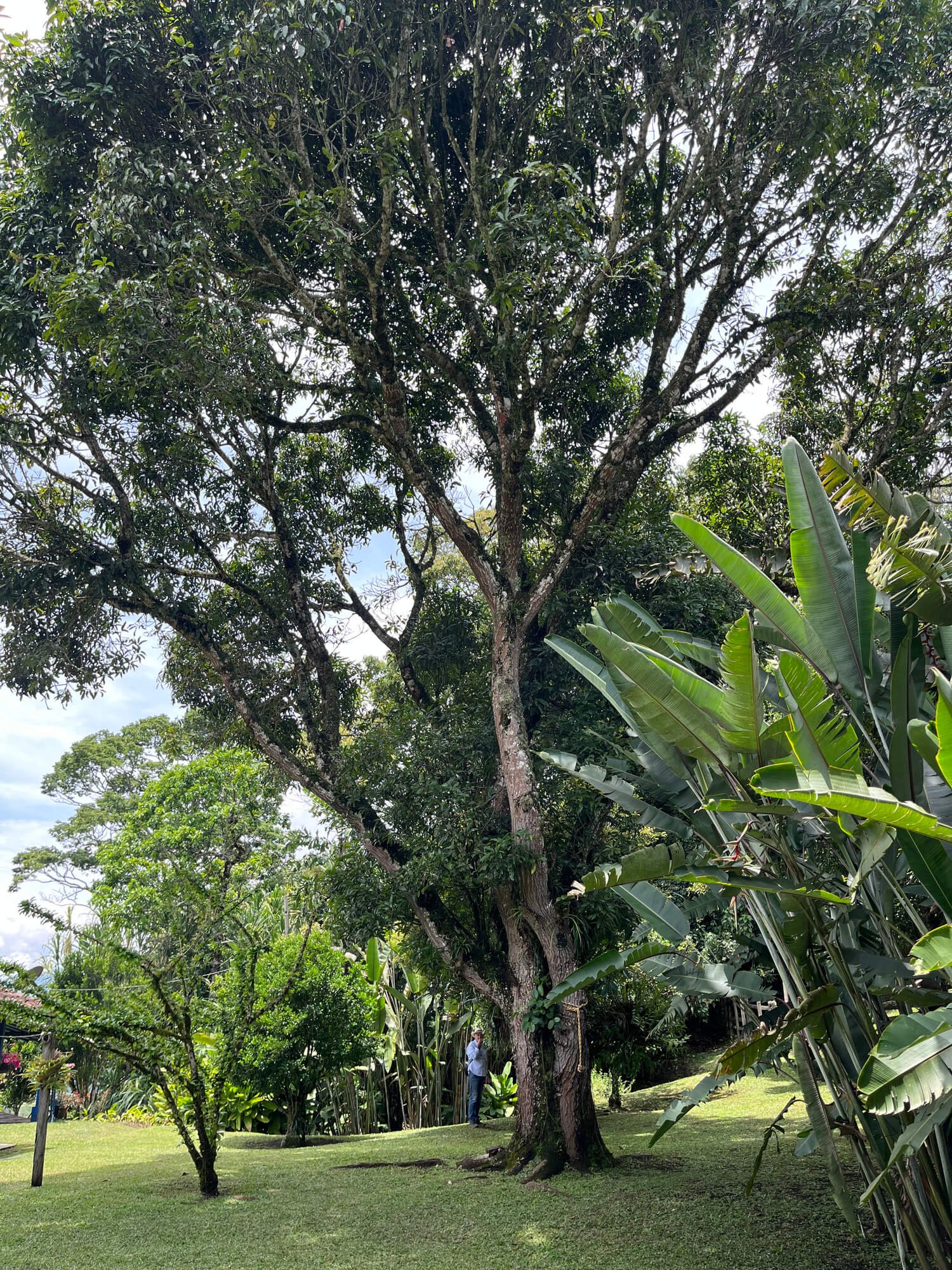 Finca en Fredonia