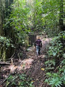 Finca en Fredonia