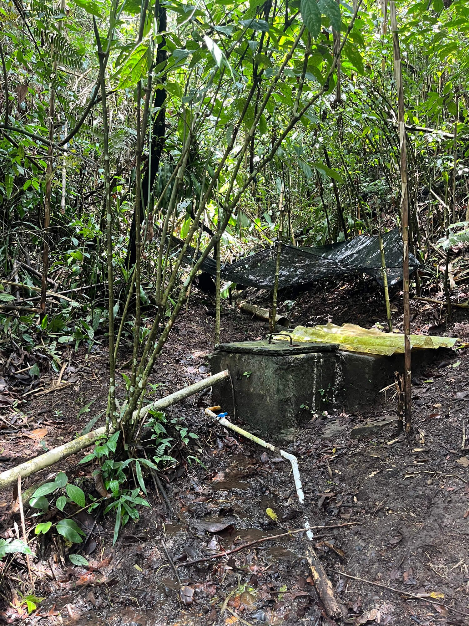 Finca en Fredonia