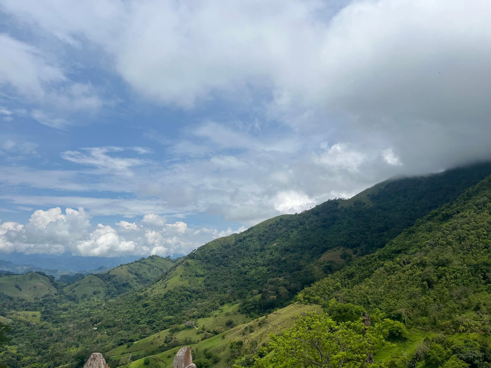 Finca ganadera en fredonia