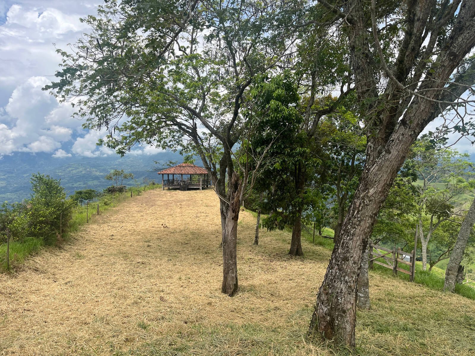 Finca ganadera en fredonia