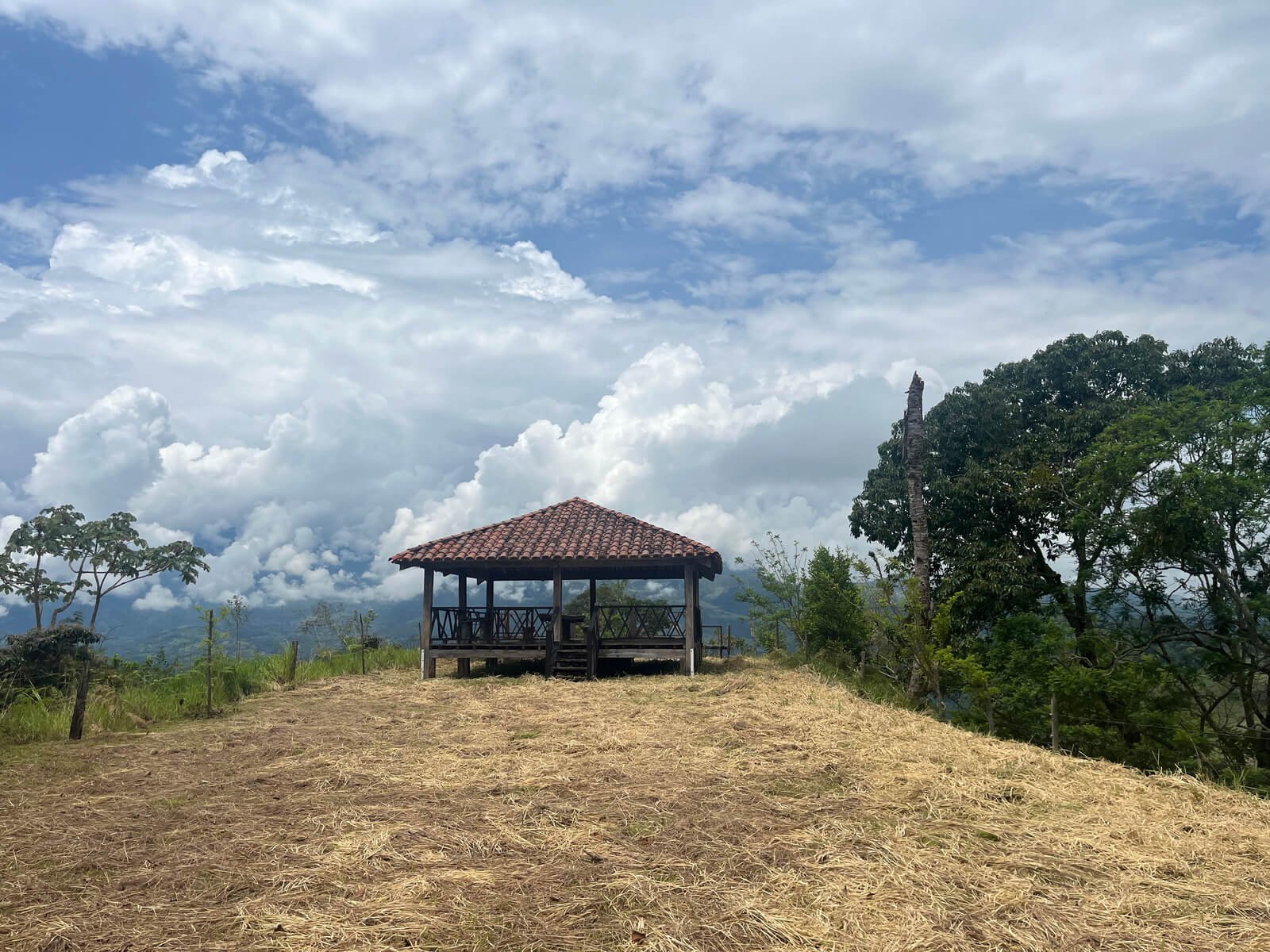Finca ganadera en fredonia