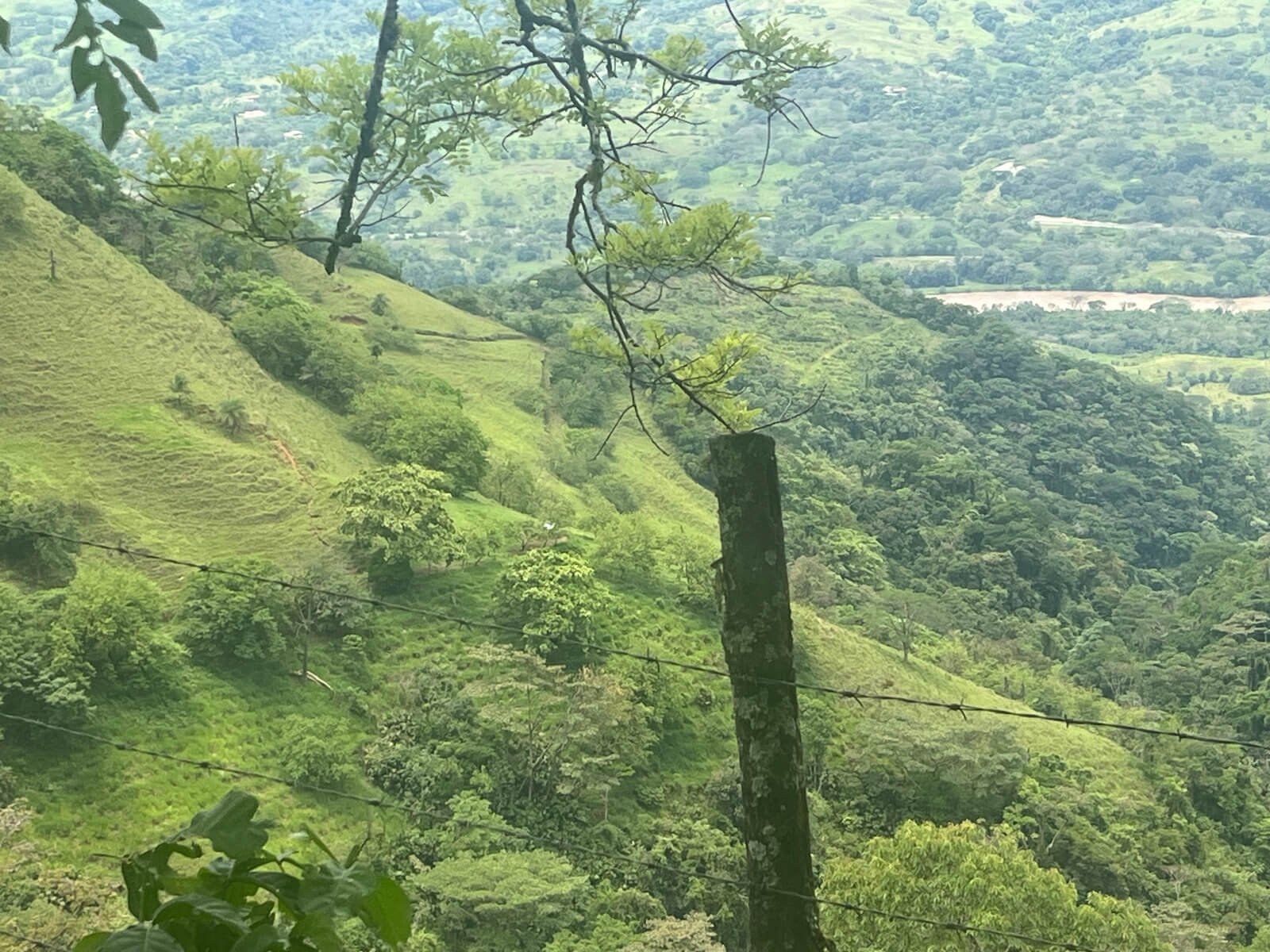 Finca ganadera en fredonia