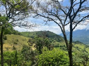 Finca ganadera en fredonia