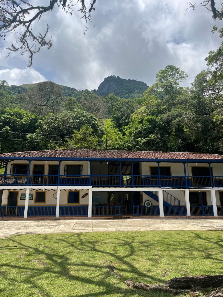 Finca ganadera en fredonia