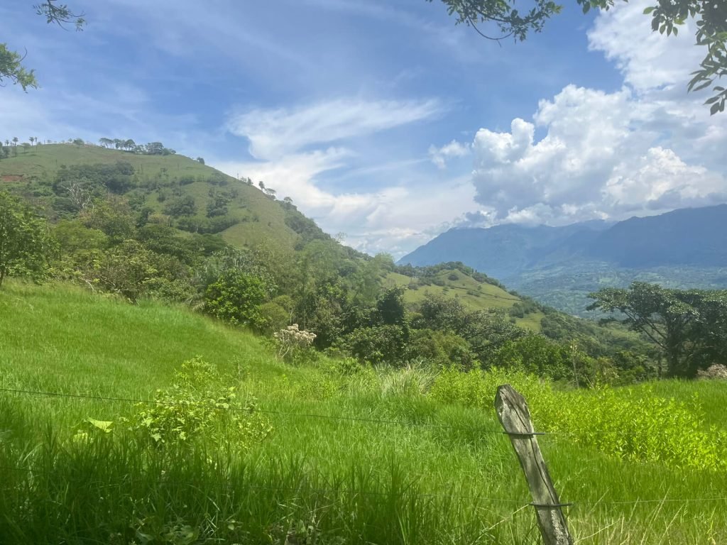 Finca ganadera en fredonia