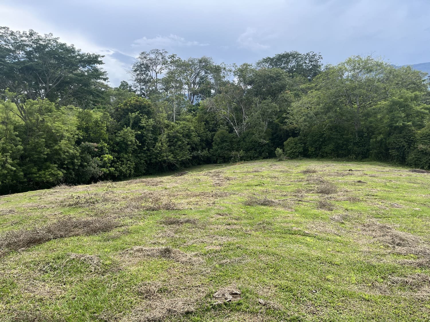 Lote Camino del Cartama