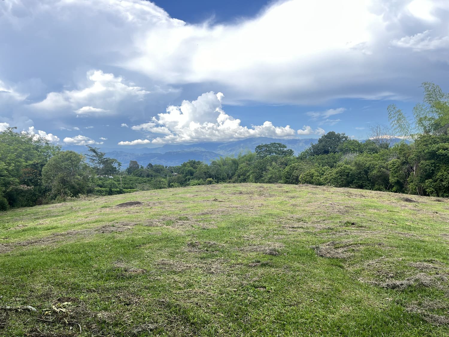 Lote Camino del Cartama