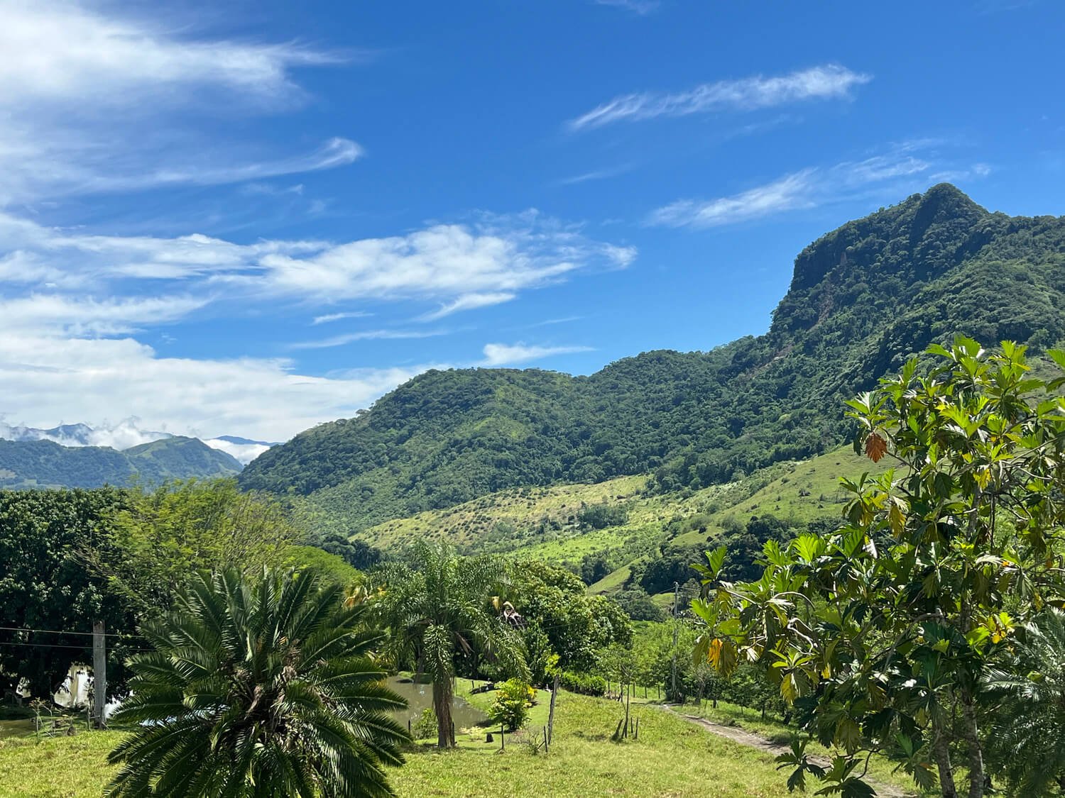 Finca en Tarso