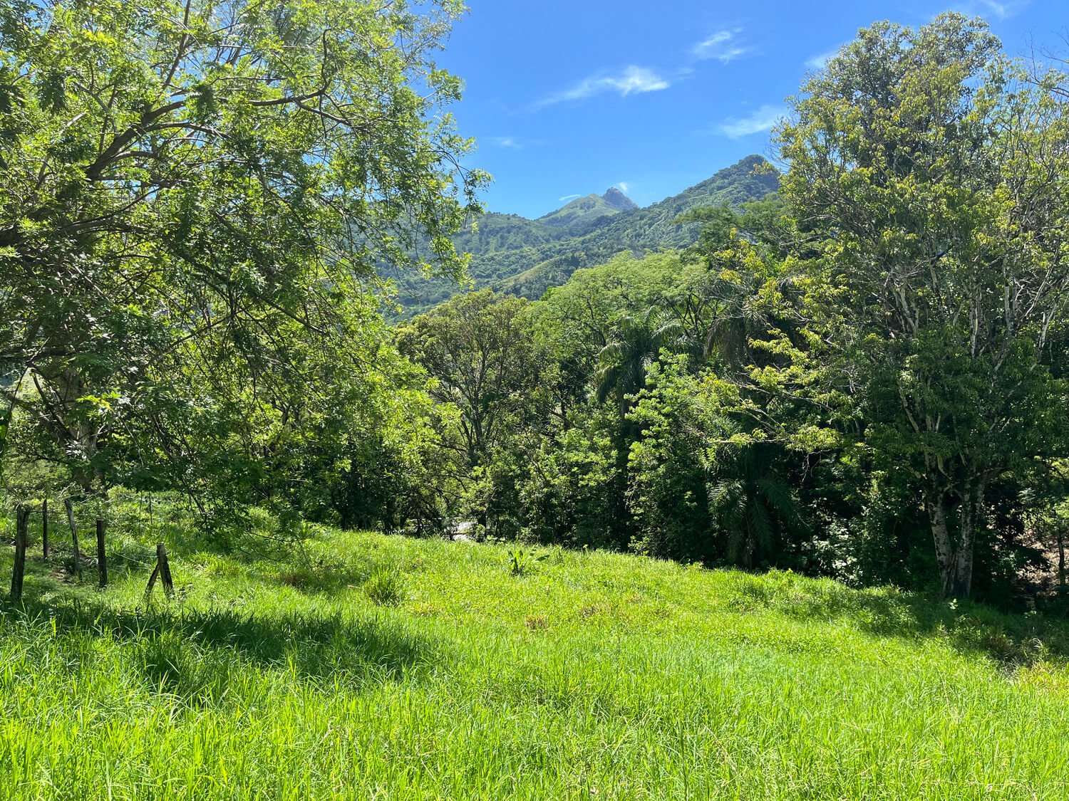Finca en Tarso