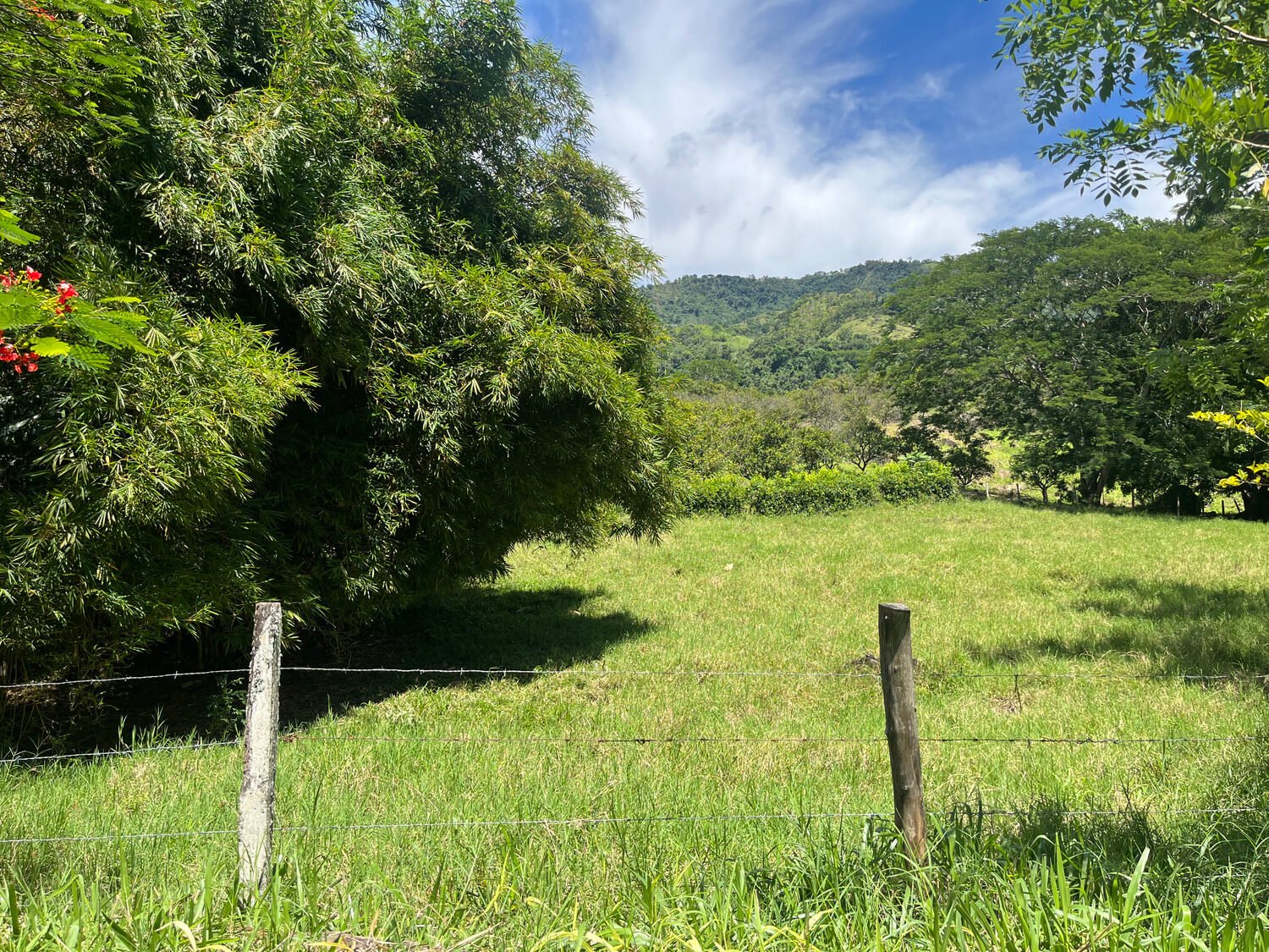 Finca en Tarso