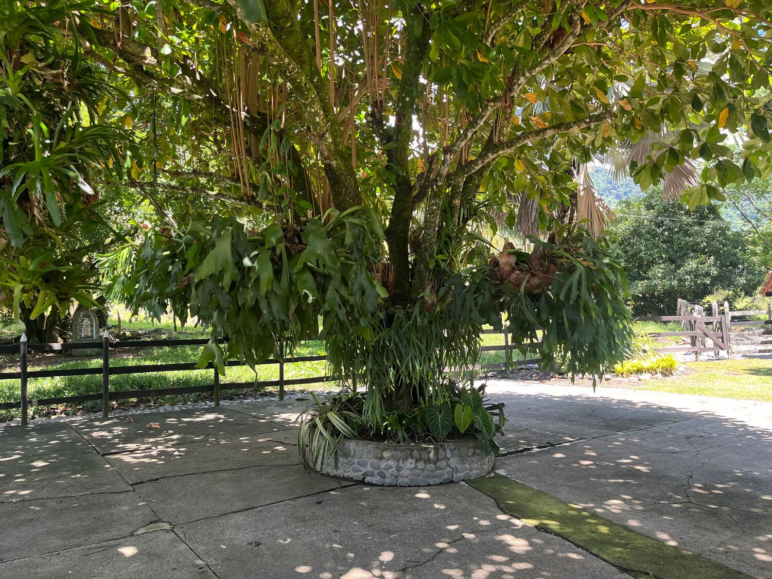 Finca en Tarso
