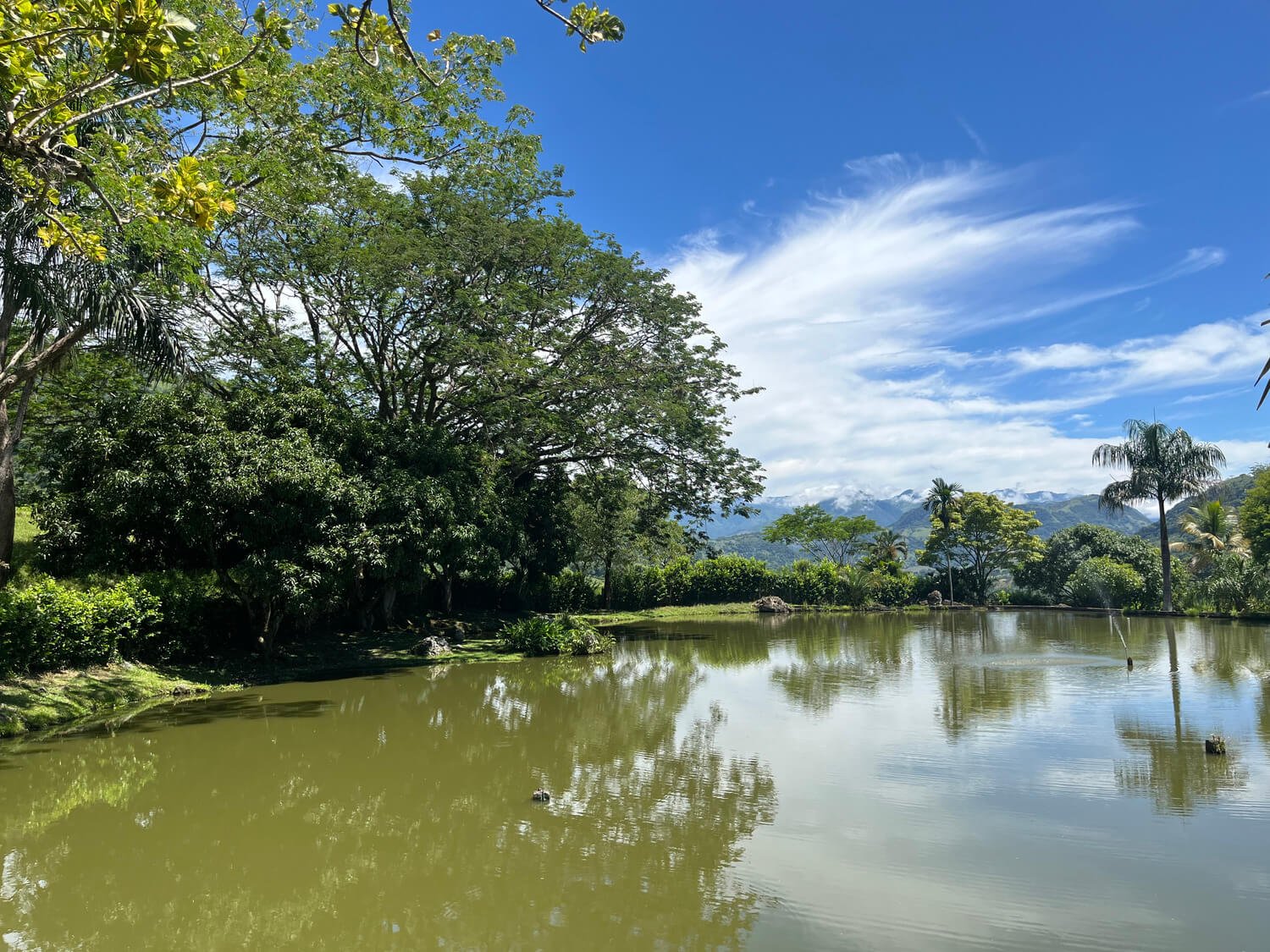 Finca en Tarso