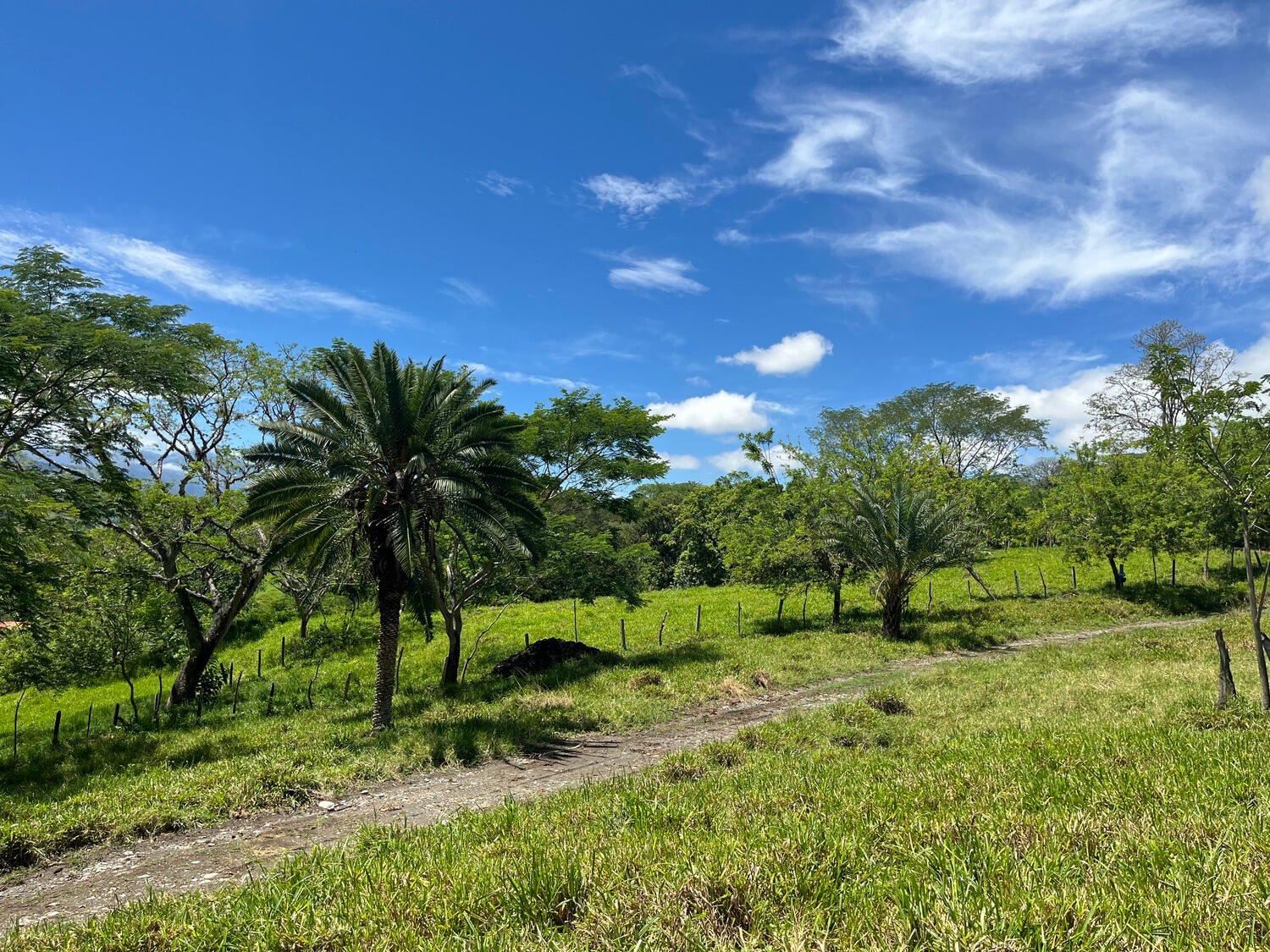 Finca en Tarso